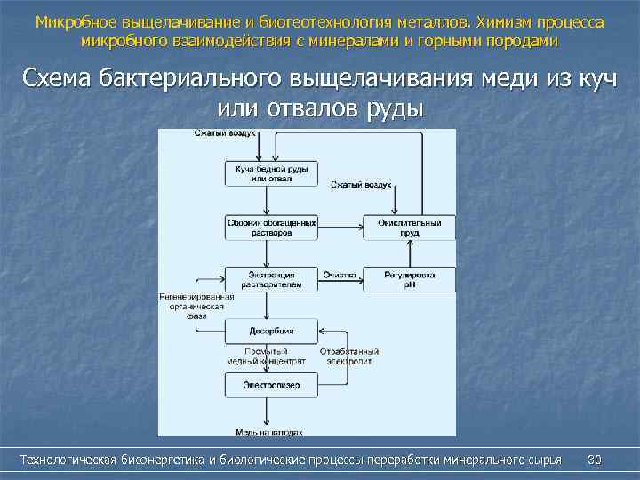 Микробное выщелачивание и биогеотехнология металлов. Химизм процесса микробного взаимодействия с минералами и горными породами
