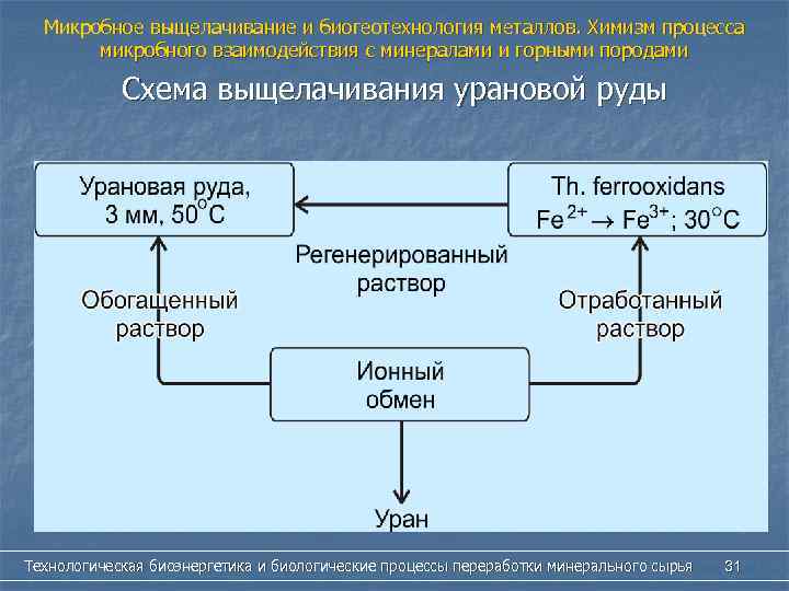 Химизм процесса