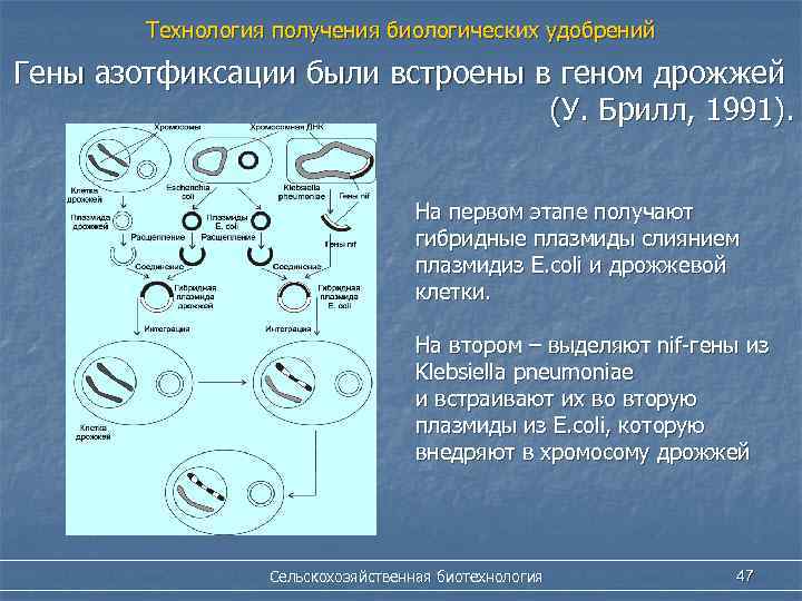 Получение гибридов на основе соединения