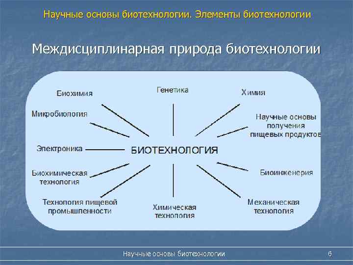 Научно обоснованное развитие. Основы биотехнологии. Методы и направления биотехнологии. Современные методы биотехнологии. Главные направления биотехнологии.