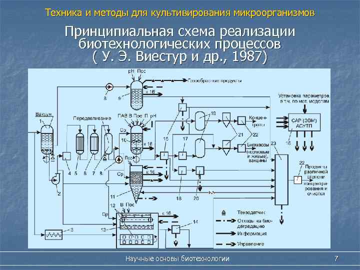 Принципиальная схема биотехнологического производства