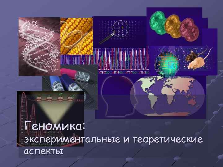 Геномика: экспериментальные и теоретические аспекты 