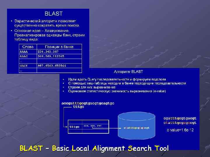 BLAST – Basic Local Alignment Search Tool 