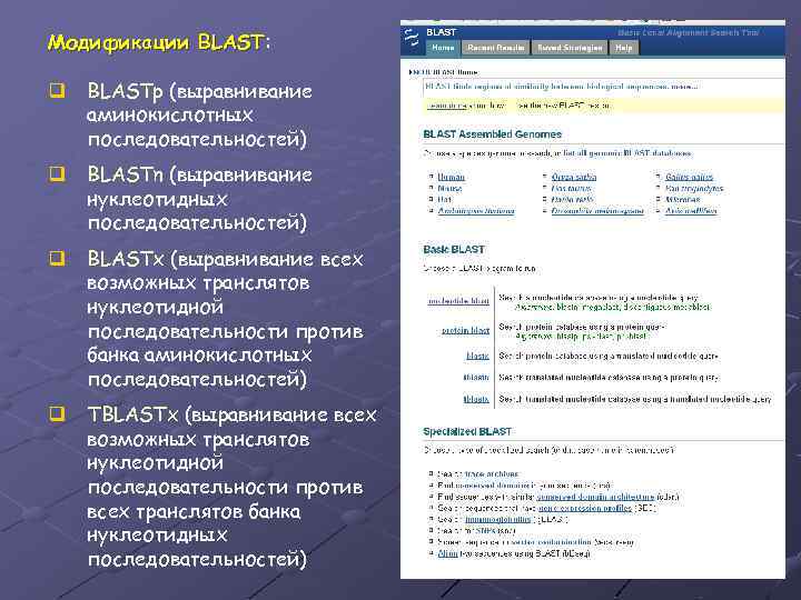 Модификации BLAST: BLAST q BLASTp (выравнивание аминокислотных последовательностей) q BLASTn (выравнивание нуклеотидных последовательностей) q