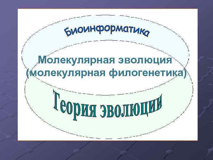 Молекулярная эволюция (молекулярная филогенетика) 