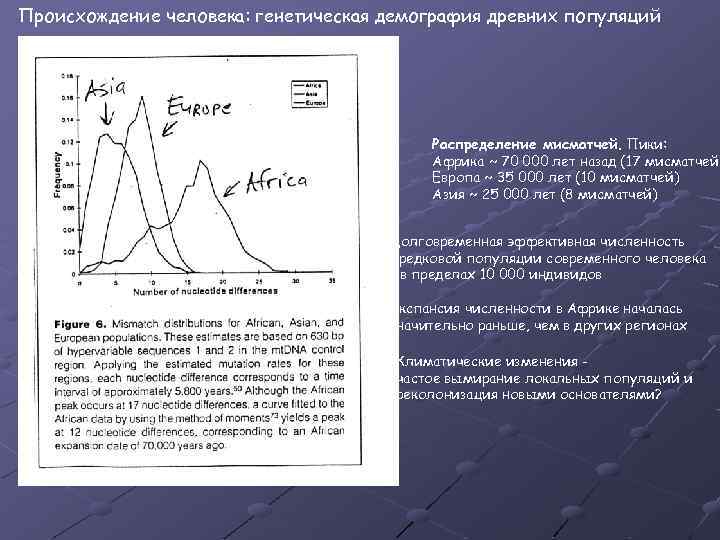 Происхождение человека: генетическая демография древних популяций Распределение мисматчей. Пики: Африка ~ 70 000 лет