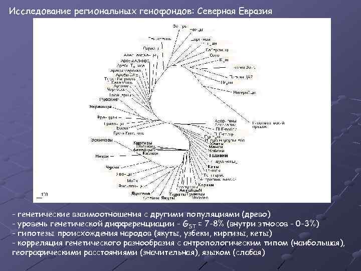 Исследование региональных генофондов: Северная Евразия - генетические взаимоотношения с другими популяциями (древо) - уровень