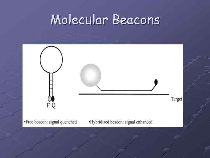 Molecular Beacons 