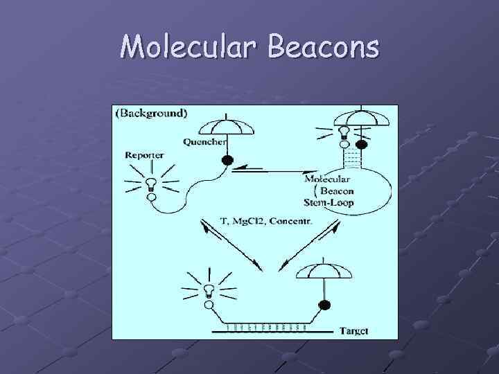 Molecular Beacons 