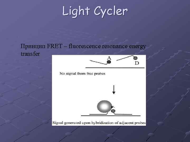 Light Cycler Принцип FRET – fluorescence resonance energy transfer 