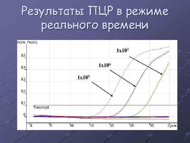 Результаты ПЦР в режиме реального времени 1 х103 1 х104 1 х105 