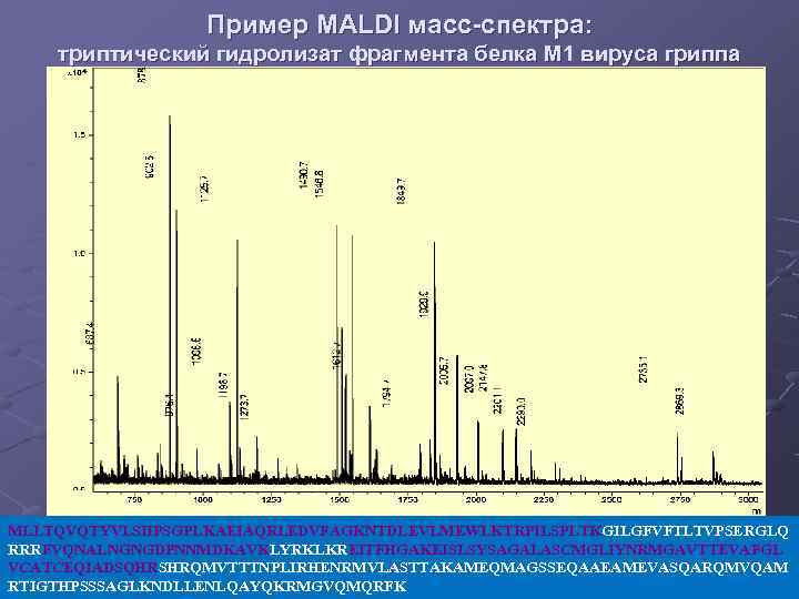 Пример MALDI масс-спектра: триптический гидролизат фрагмента белка М 1 вируса гриппа MLLTQVQTYVLSIIPSGPLKAEIAQRLEDVFAGKNTDLEVLMEWLKTRPILSPLTKGILGFVFTLTVPSERGLQ RRRFVQNALNGNGDPNNMDKAVKLYRKLKREITFHGAKEISLSYSAGALASCMGLIYNRMGAVTTEVAFGL VCATCEQIADSQHRSHRQMVTTTNPLIRHENRMVLASTTAKAMEQMAGSSEQAAEAMEVASQARQMVQAM