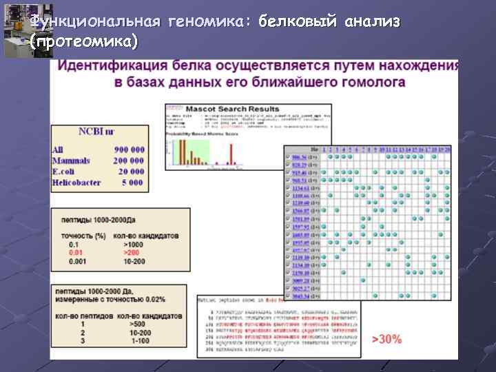 Функциональная геномика: белковый анализ (протеомика) 