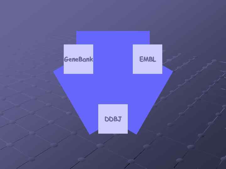 Gene. Bank EMBL DDBJ 