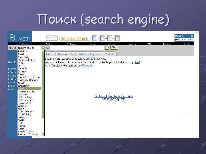 Поиск (search engine) 
