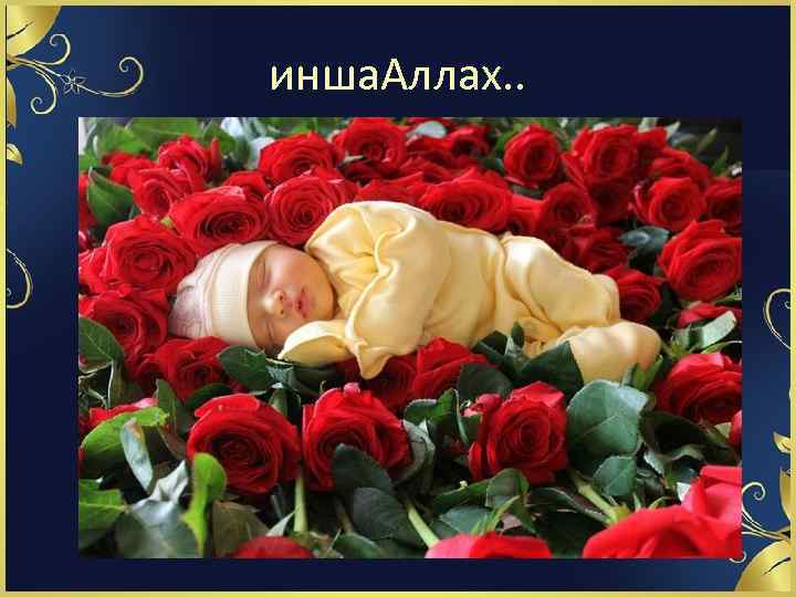 инша. Аллах. . 