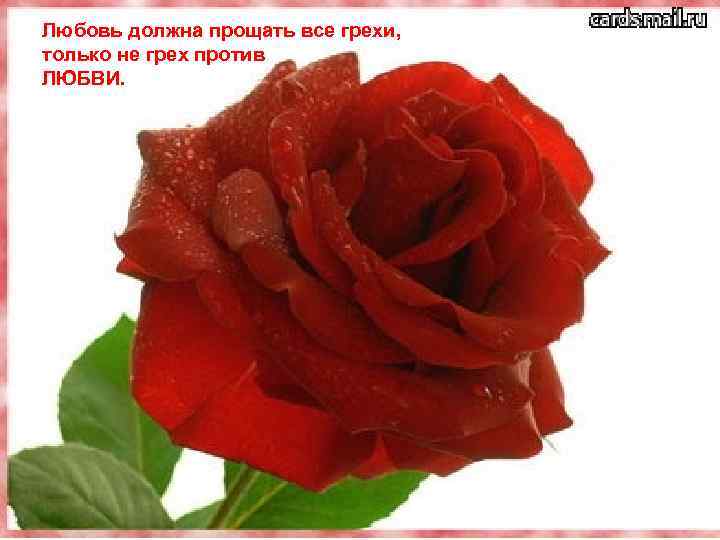 Любовь должна прощать все грехи, только не грех против ЛЮБВИ. 