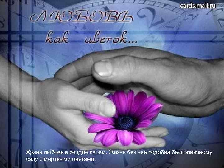 Храни любовь в сердце своем. Жизнь без нее подобна бессолнечному саду с мертвыми цветами.