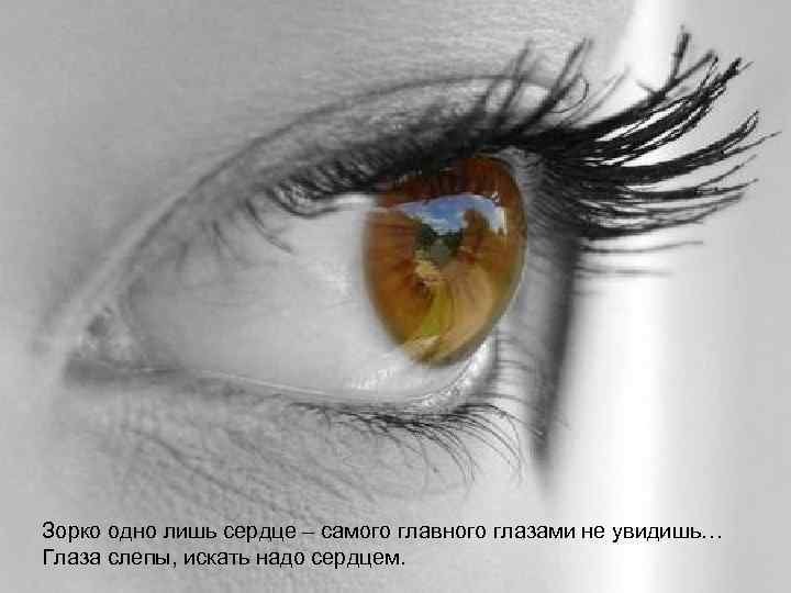 Зорко одно лишь сердце – самого главного глазами не увидишь… Глаза слепы, искать надо