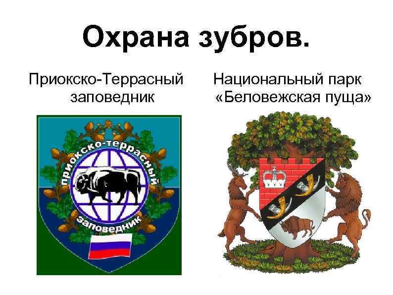 Охрана зубров. Приокско-Террасный заповедник Национальный парк «Беловежская пуща» 
