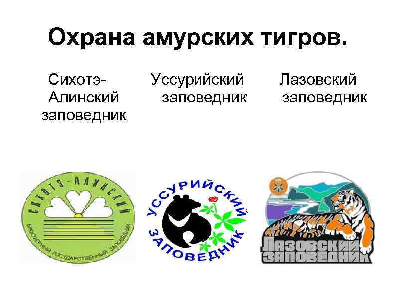 Охрана амурских тигров. Сихотэ. Алинский заповедник Уссурийский заповедник Лазовский заповедник 
