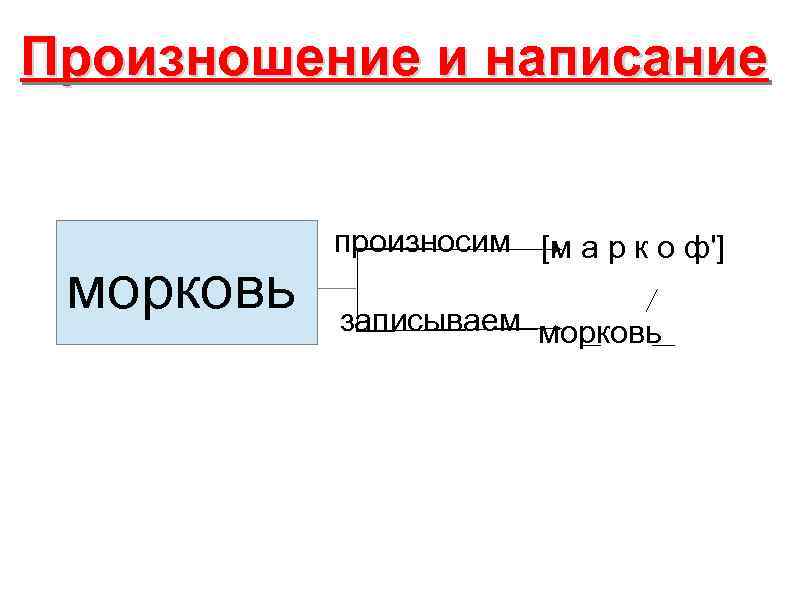 Произношение и написание морковь произносим [м а р к о ф'] записываем морковь 