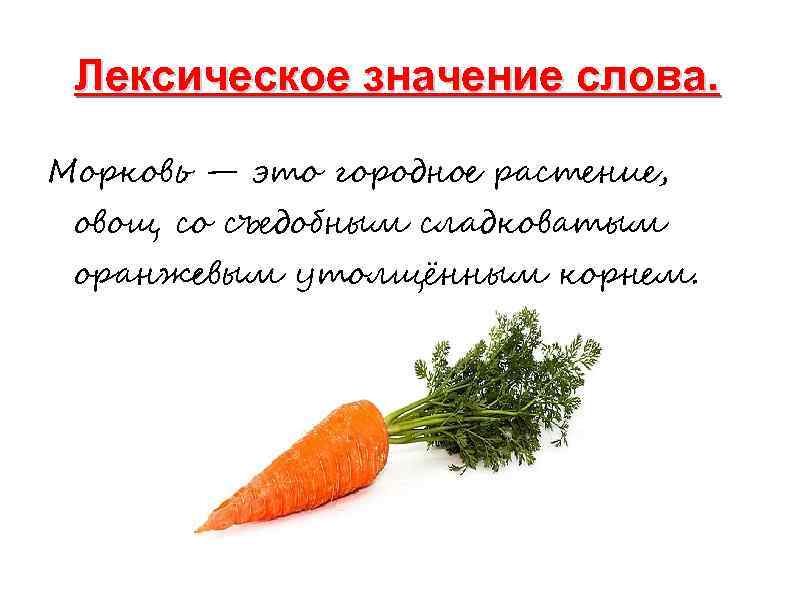 Лексическое значение слова. Морковь — это городное растение, овощ со съедобным сладковатым оранжевым утолщённым