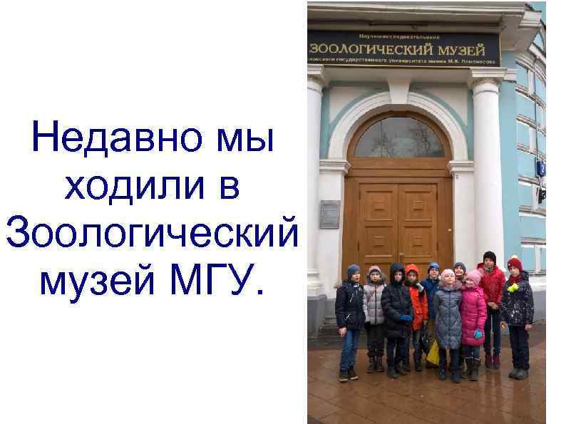 Недавно мы ходили в Зоологический музей МГУ. 