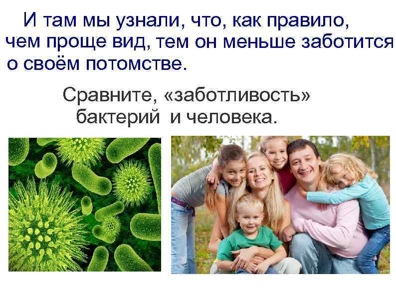 И там мы узнали, что, как правило, чем проще вид, тем он меньше заботится