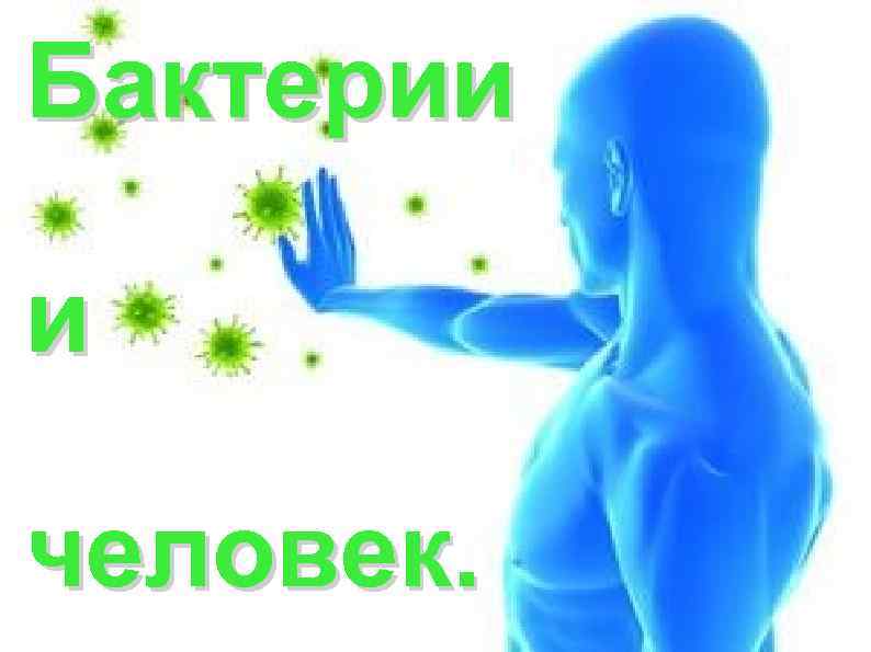 Бактерии и человек. 