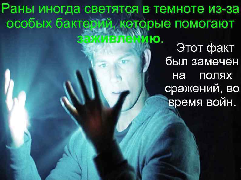 Раны иногда светятся в темноте из-за особых бактерий, которые помогают заживлению. Этот факт был