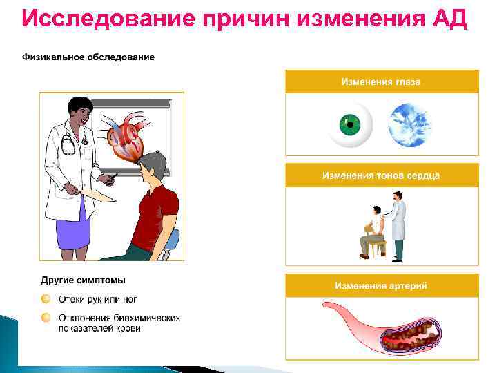 Исследование причин изменения АД 