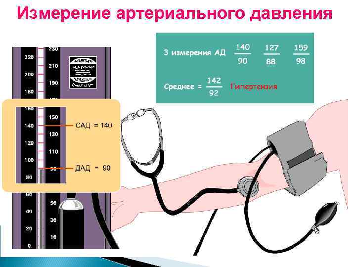 Расположите картинки в правильном порядке