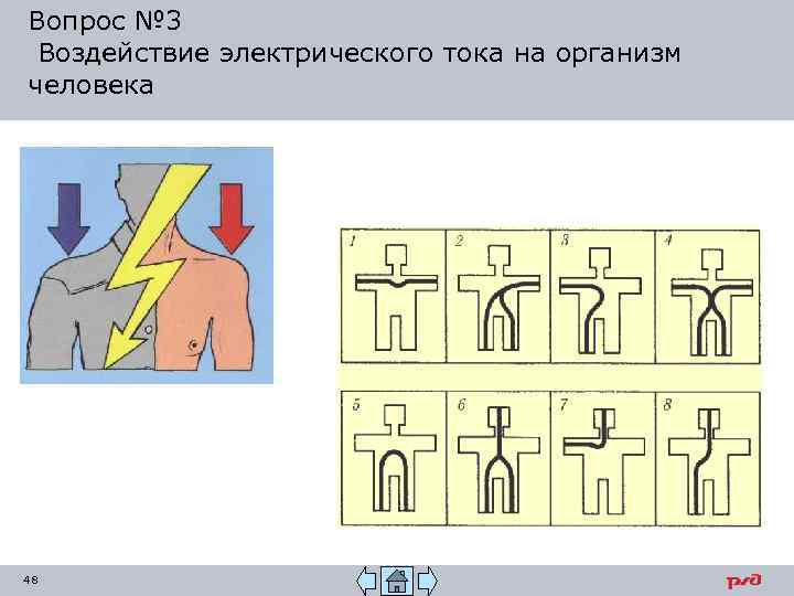 Вопрос № 3 Воздействие электрического тока на организм человека 48 