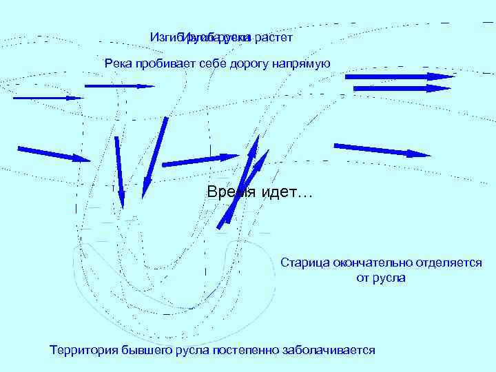 Изгиб русла растет русла реки Река пробивает себе дорогу напрямую Время идет… Старица окончательно