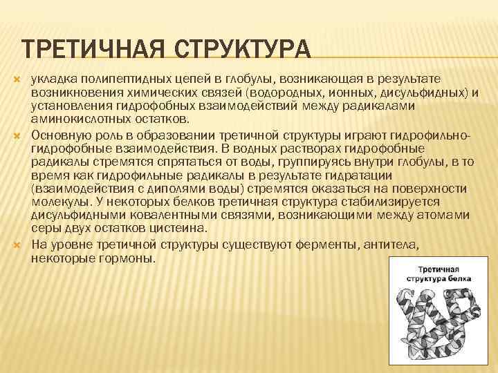 ТРЕТИЧНАЯ СТРУКТУРА укладка полипептидных цепей в глобулы, возникающая в результате возникновения химических связей (водородных,