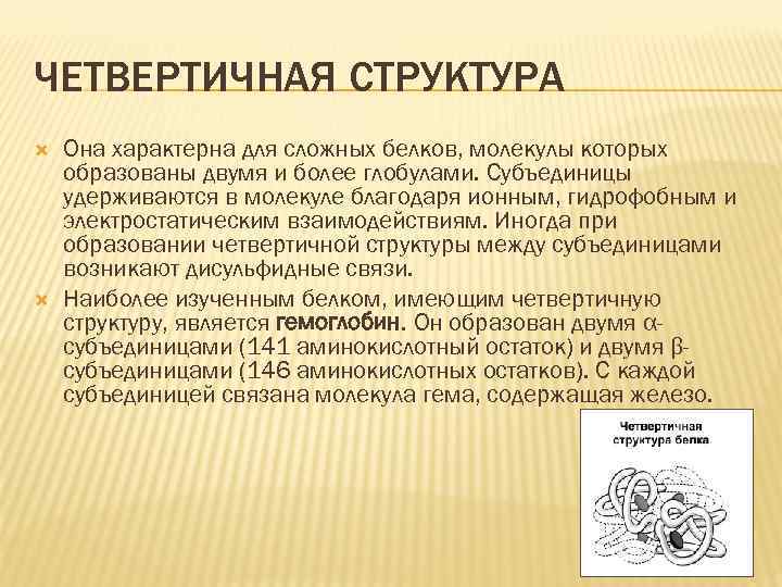 ЧЕТВЕРТИЧНАЯ СТРУКТУРА Она характерна для сложных белков, молекулы которых образованы двумя и более глобулами.