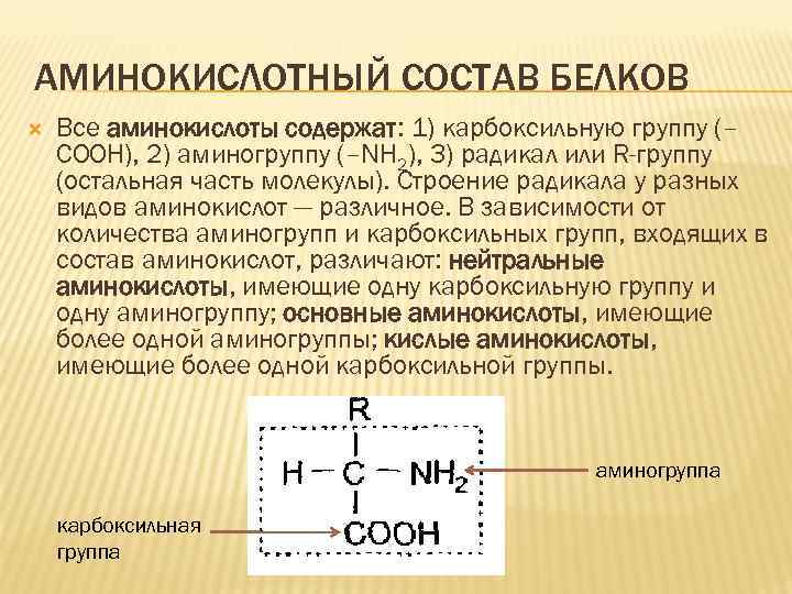 АМИНОКИСЛОТНЫЙ СОСТАВ БЕЛКОВ Все аминокислоты содержат: 1) карбоксильную группу (– СООН), 2) аминогруппу (–NH