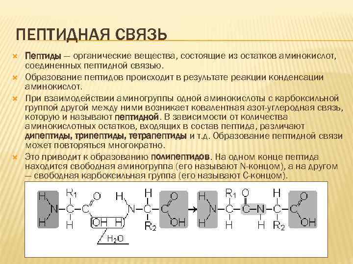 ПЕПТИДНАЯ СВЯЗЬ Пептиды — органические вещества, состоящие из остатков аминокислот, соединенных пептидной связью. Образование