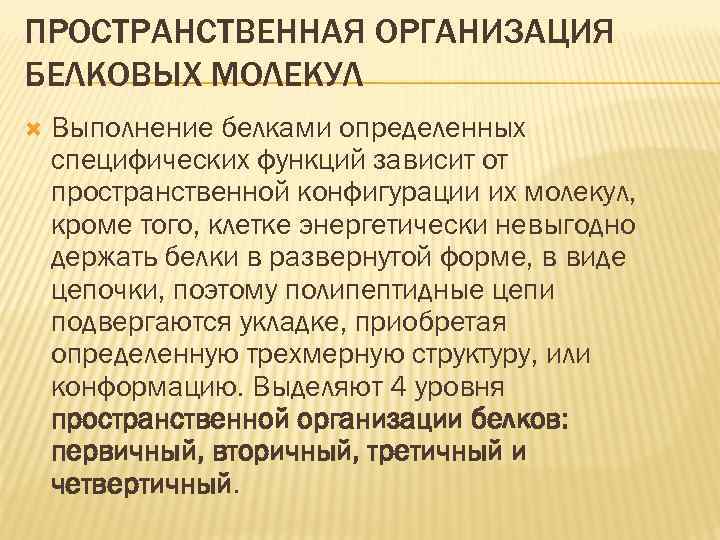 ПРОСТРАНСТВЕННАЯ ОРГАНИЗАЦИЯ БЕЛКОВЫХ МОЛЕКУЛ Выполнение белками определенных специфических функций зависит от пространственной конфигурации их