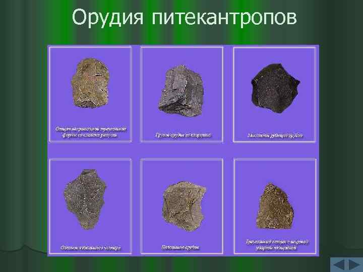 Орудия питекантропов 