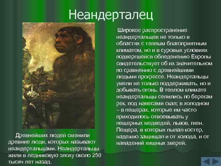 Неандерталец Древнейших людей сменили древние люди, которых называют неандертальцами. Неандертальцы жили в ледниковую эпоху