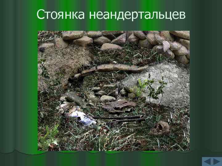 Стоянка неандертальцев 