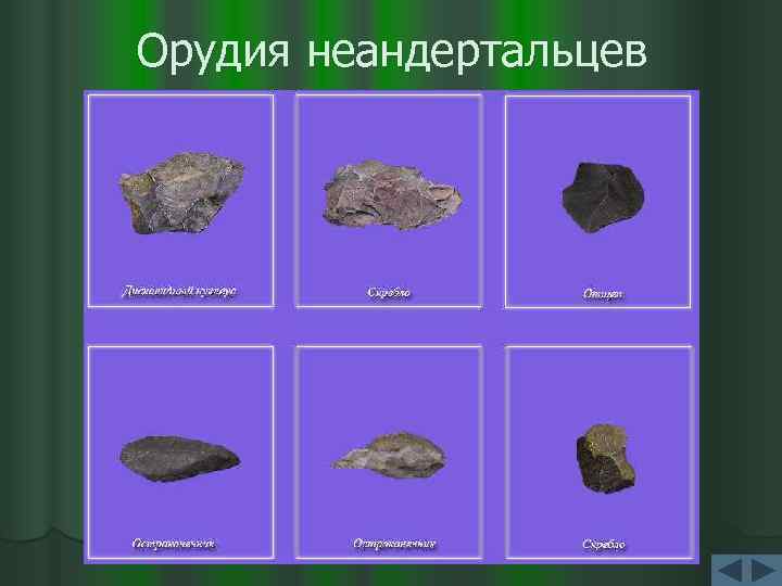 Орудия неандертальцев 