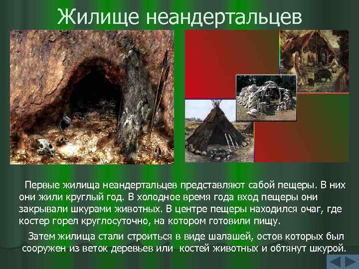 Жилище неандертальцев Первые жилища неандертальцев представляют сабой пещеры. В них они жили круглый год.