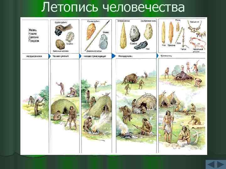 Летопись человечества 