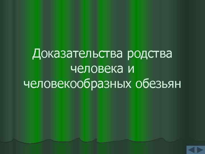 Доказательства родства человека и человекообразных обезьян 