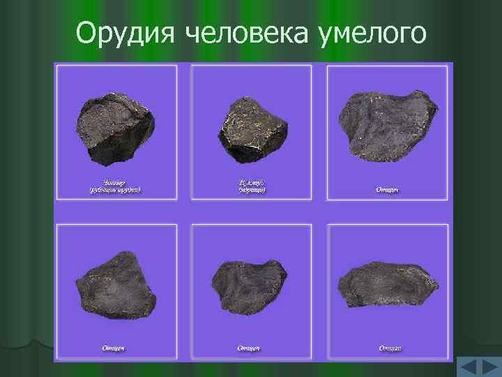 Орудия человека умелого 