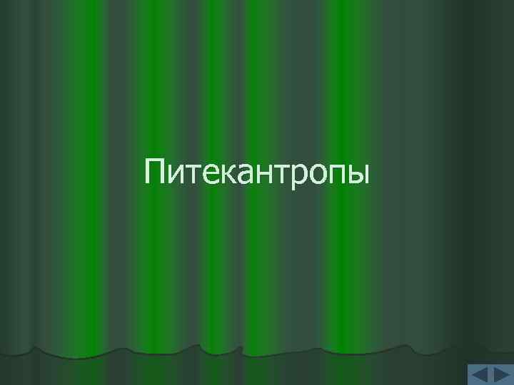 Питекантропы 