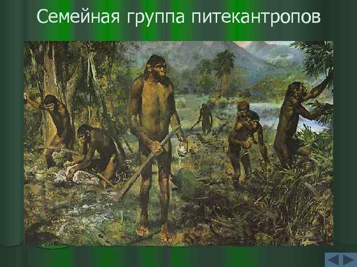 Семейная группа питекантропов 